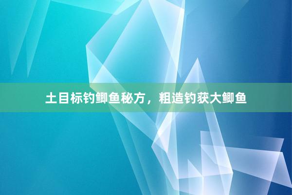 土目标钓鲫鱼秘方，粗造钓获大鲫鱼